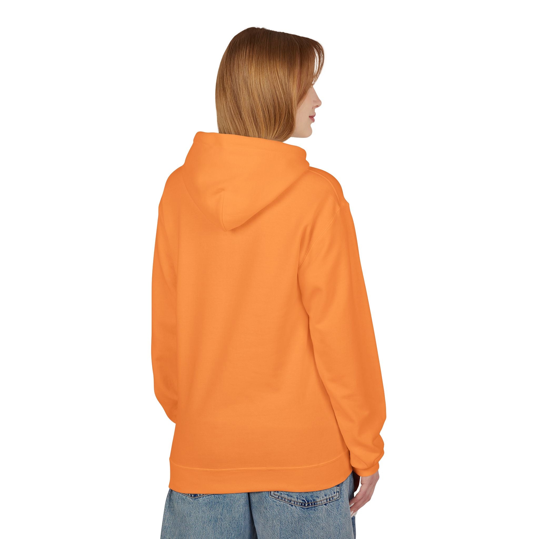 I'm Doing What I Can Hummingbird Graphic Hoodie