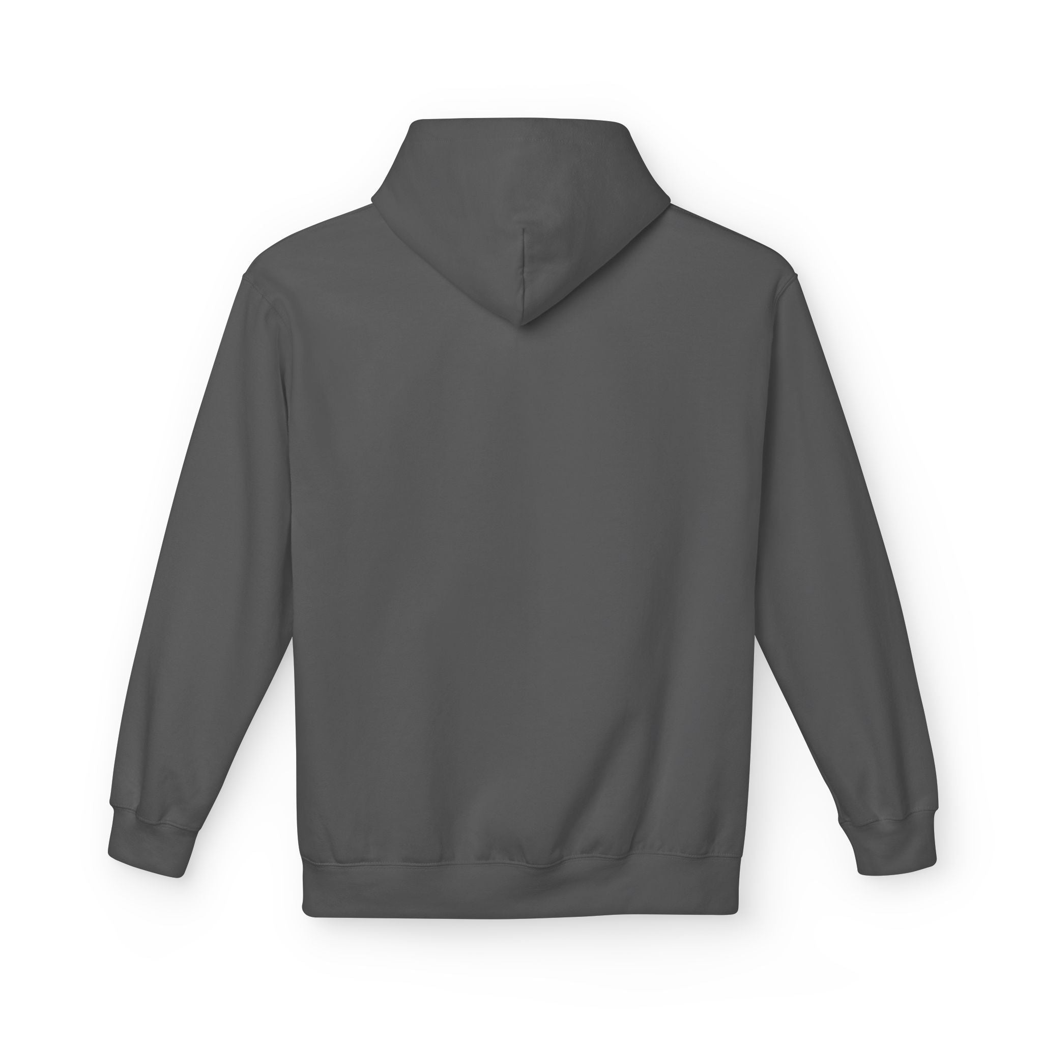 Winter Bison "Into the Storm" Graphic Hoodie
